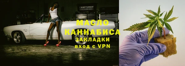 сатива Козельск