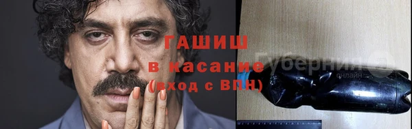 сатива Козельск