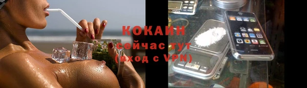 сатива Козельск
