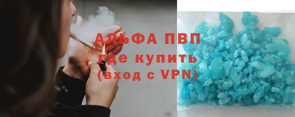 сатива Козельск
