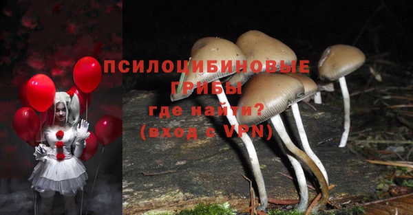 мяу мяу кристалл Козловка