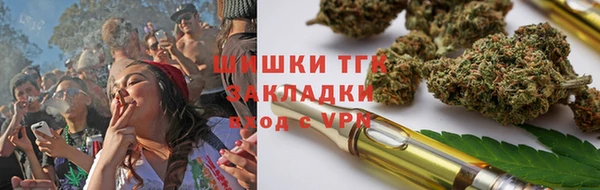 сатива Козельск