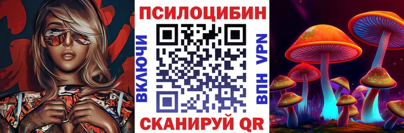 хочу   Людиново  Галлюциногенные грибы Psilocybe 